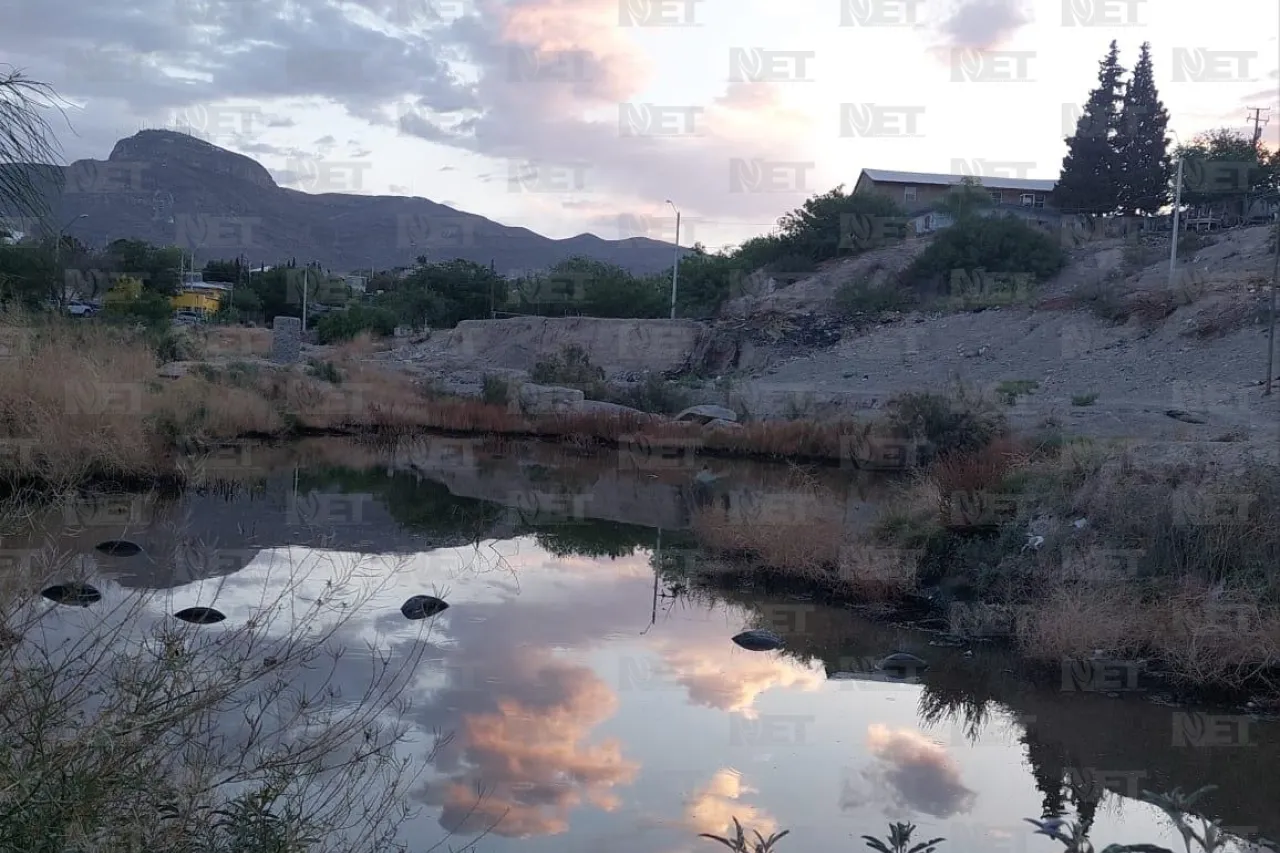 Lluvias, mosquitos y prevención de enfermedades en Juárez