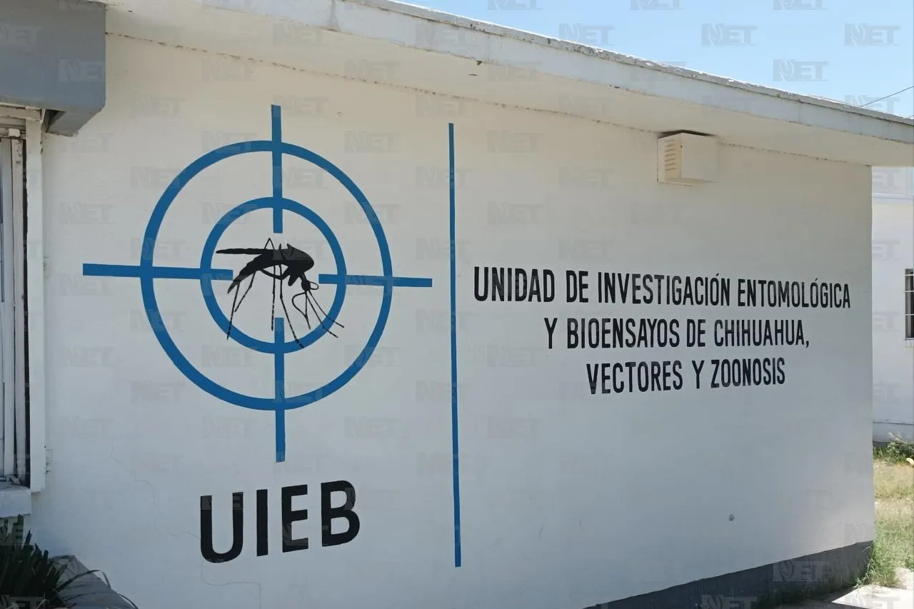 Lluvias, mosquitos y prevención de enfermedades en Juárez