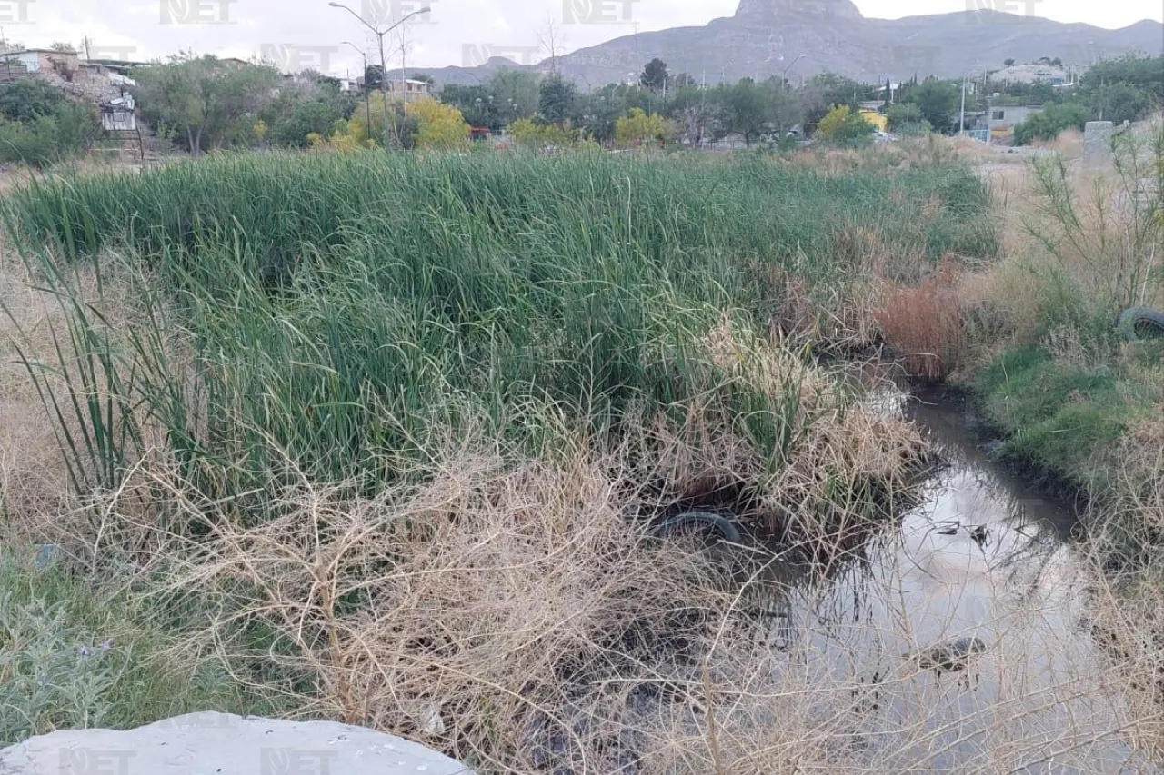 Lluvias, mosquitos y prevención de enfermedades en Juárez