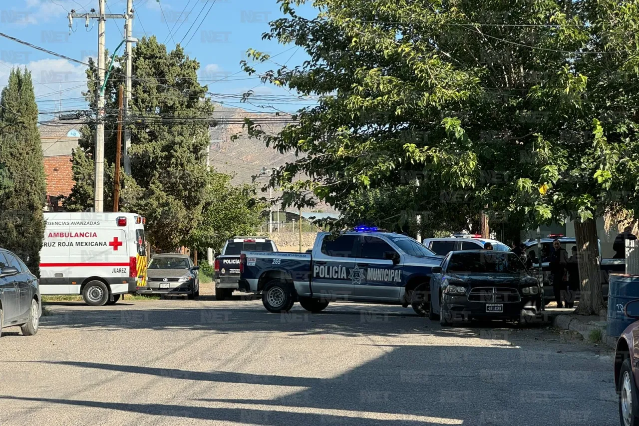 Hallan muerto en la colonia Córdova Américas, hay varios detenidos