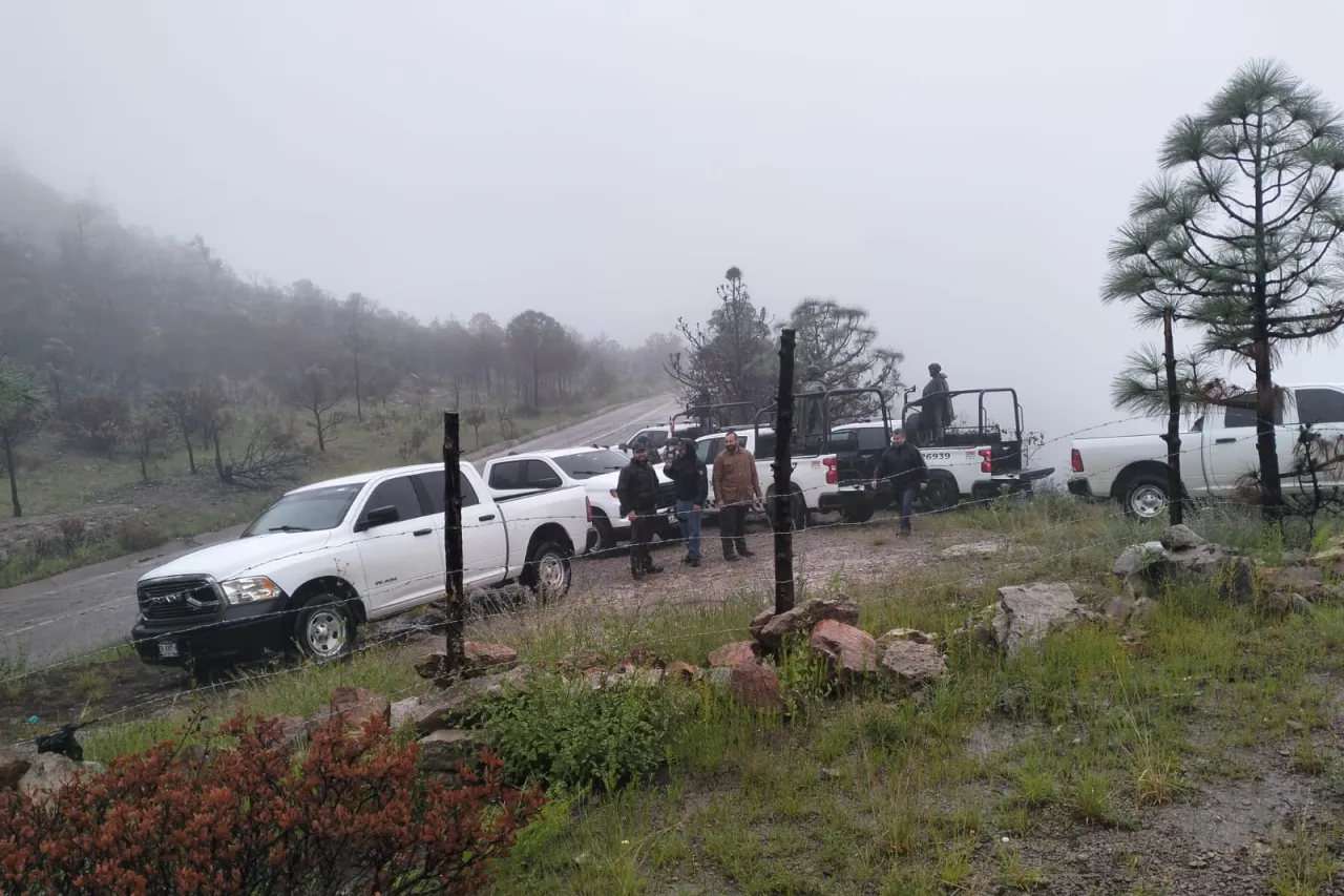 Alerta llamada sobre posibles restos humanos en bosque de El Vergel