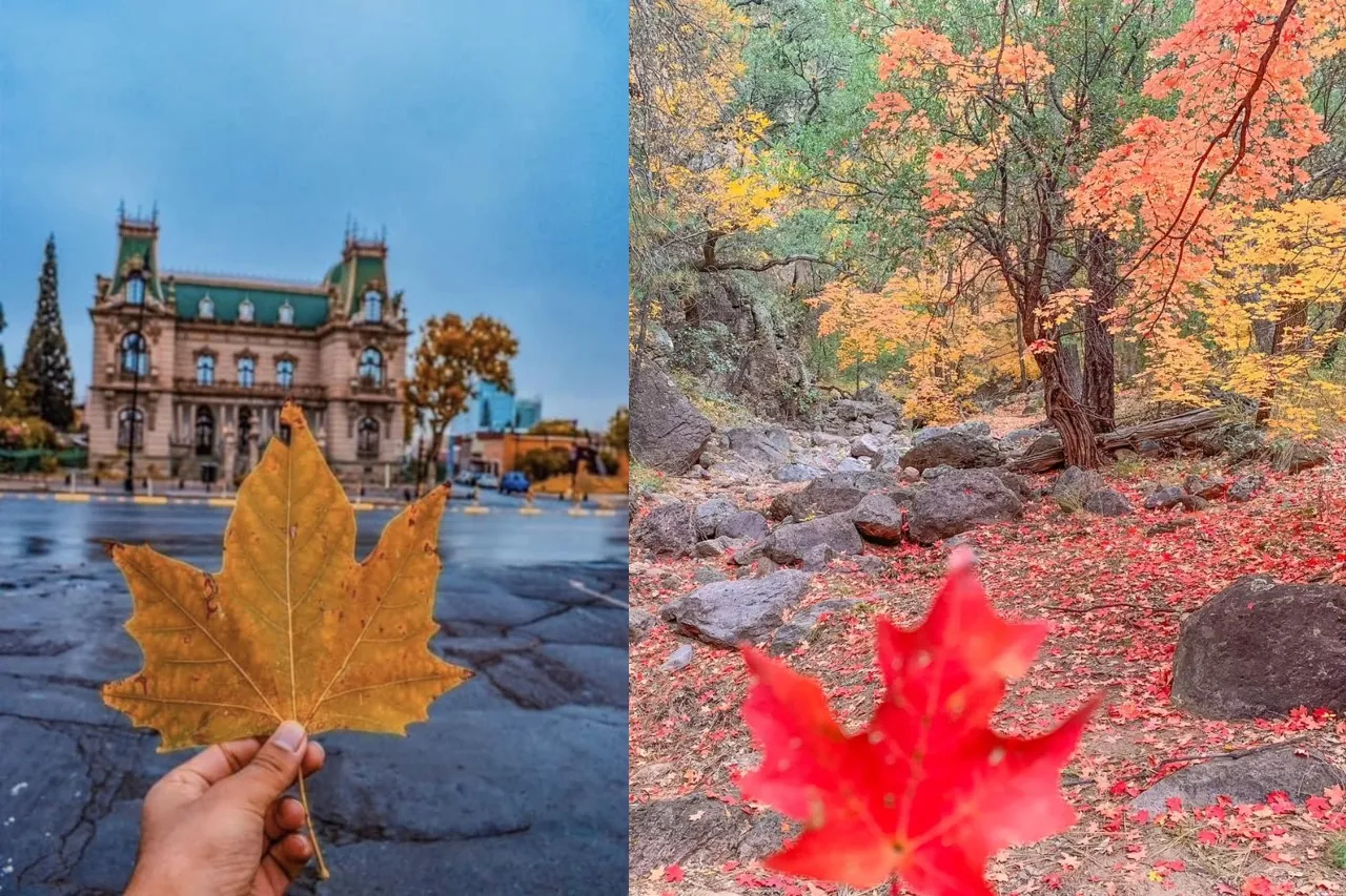 Se viene el cambio de estación; ¿cuándo llega el otoño a Chihuahua?