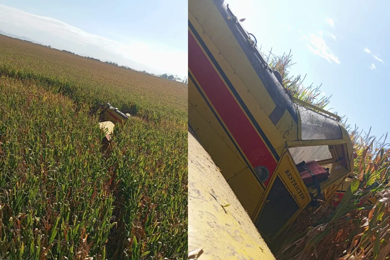 Cae aeronave en campo de maíz en Cuauhtémoc