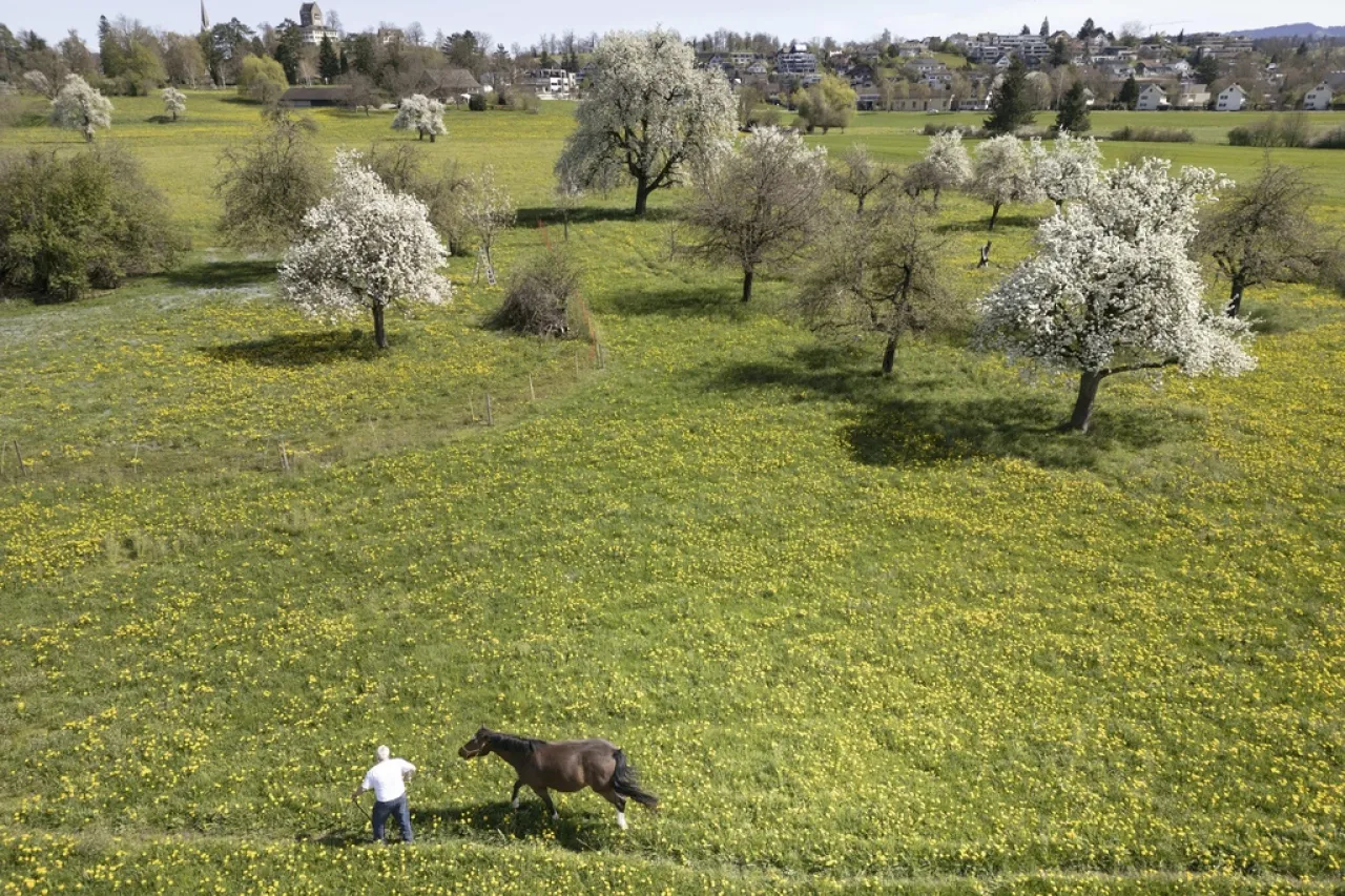 Rechazan Suizos plan para reforzar la frágil biodiversidad de su país