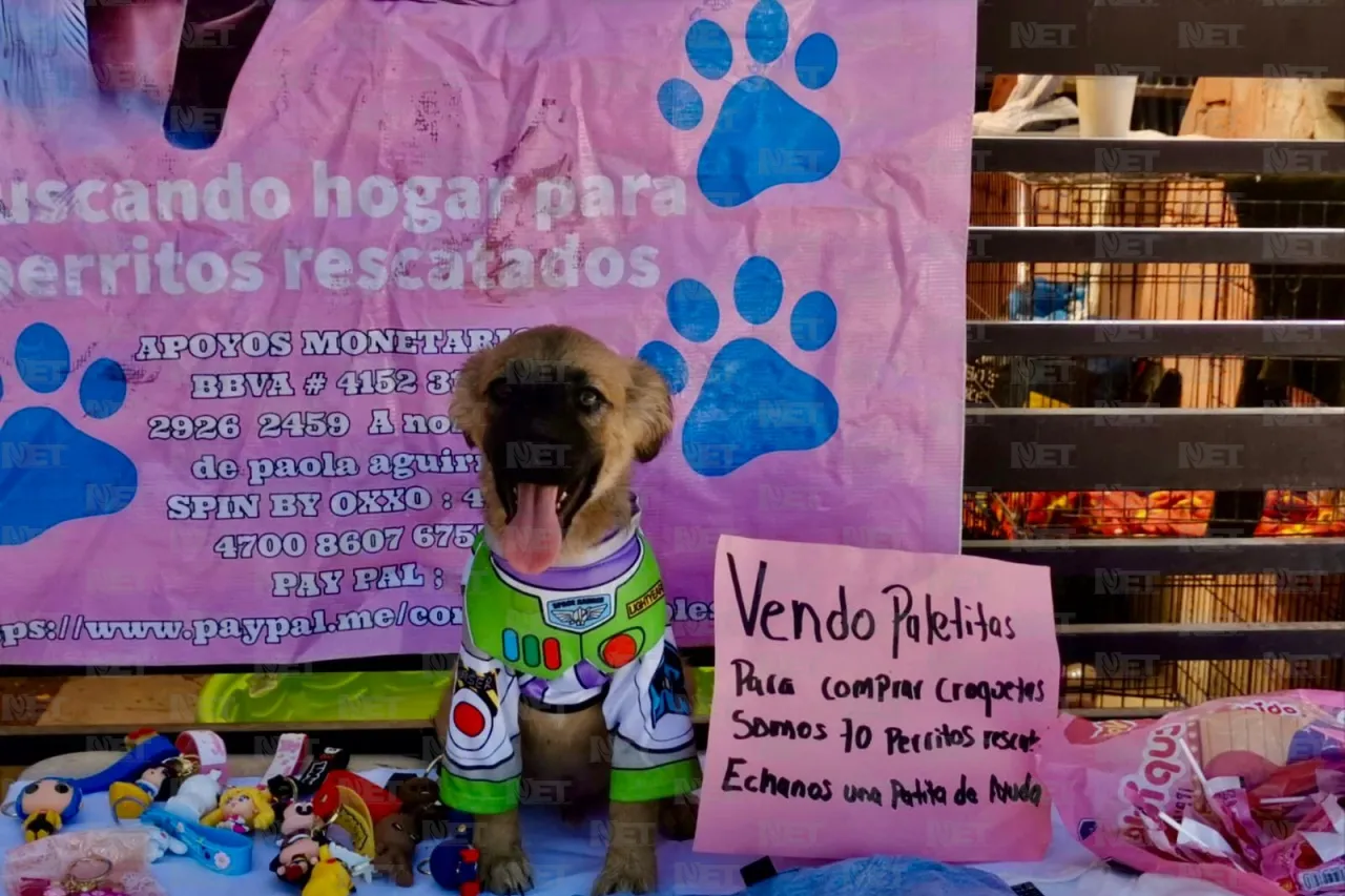 Chacho no ha vendido ni una paleta, pide patita de ayuda