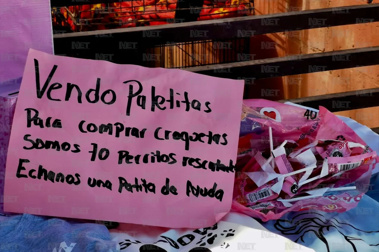 Chacho no ha vendido ni una paleta, pide patita de ayuda