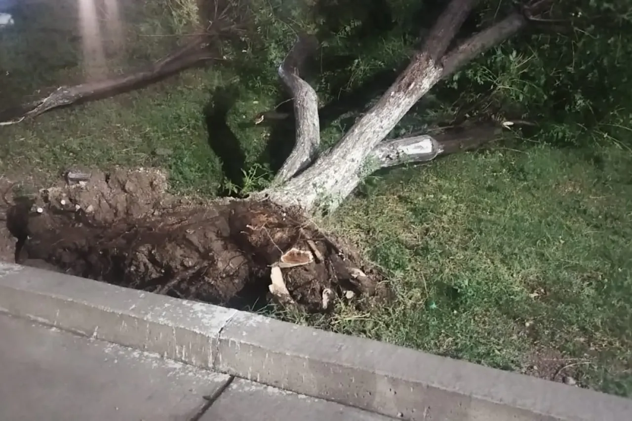 Dejaron tormentas de ayer estragos en Chihuahua y Delicias