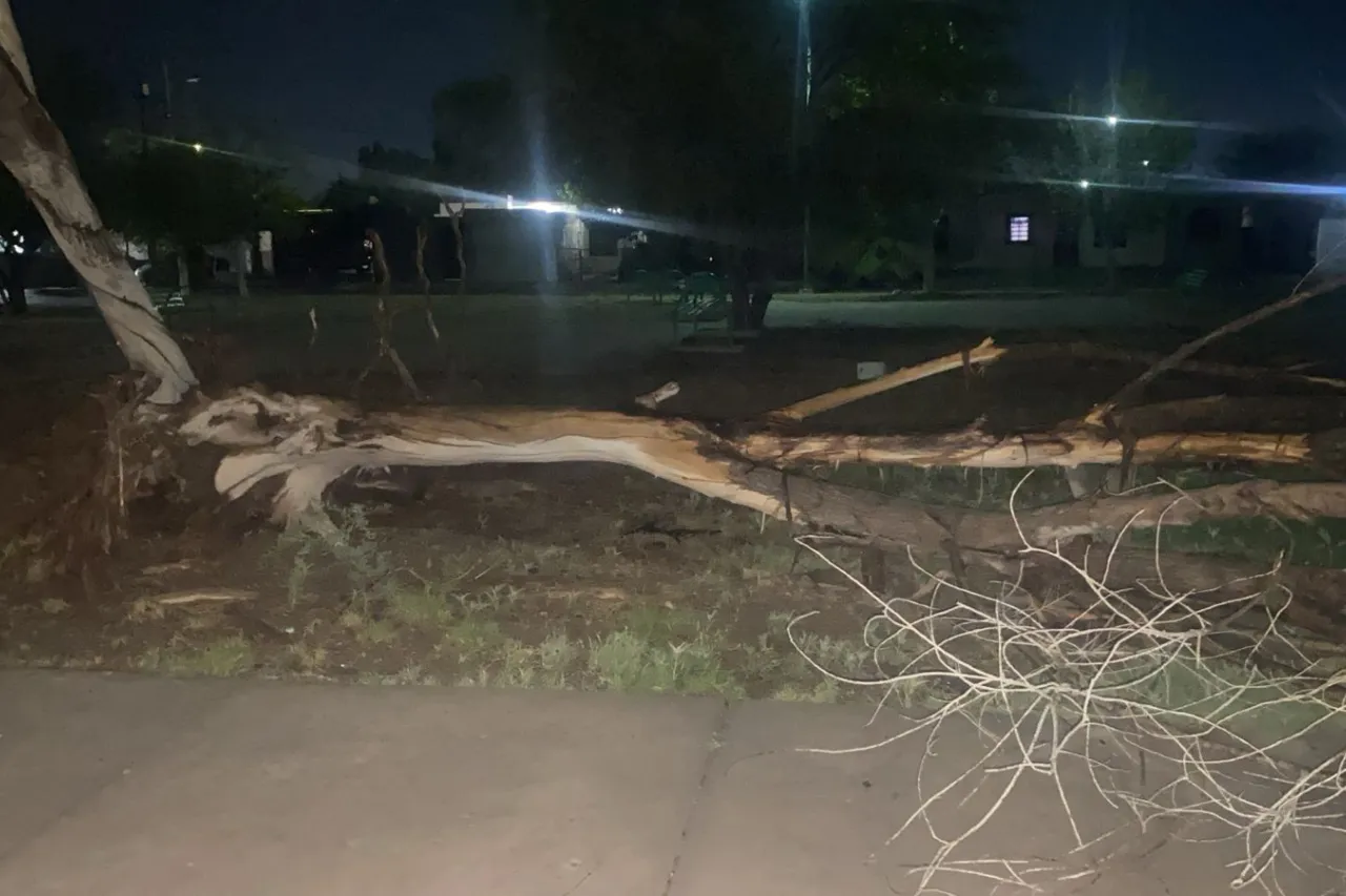 Dejaron tormentas de ayer estragos en Chihuahua y Delicias