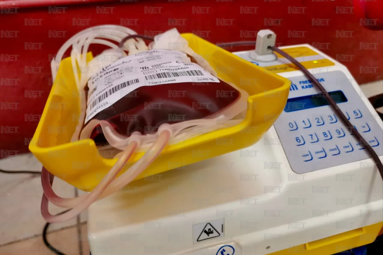 Fondo Unido y UTCJ donan sangre para pacientes con cáncer