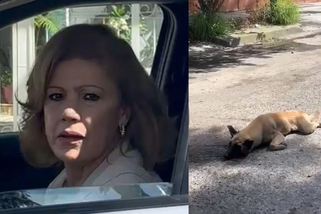 Video: Mujer arrastra a perro amarrado a su camioneta porque se subía a su auto