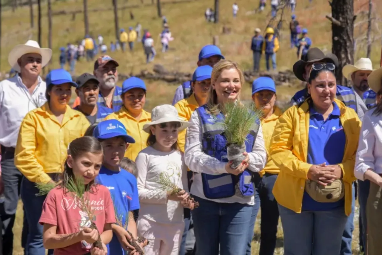 Impulsa Maru reforestación en la Sierra Tarahumara