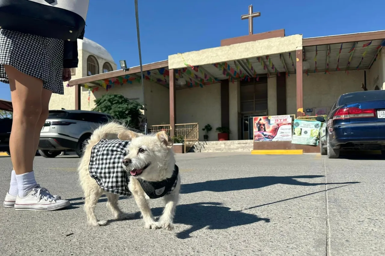 Reciben mascotas la bendición por el Día Mundial de los Animales