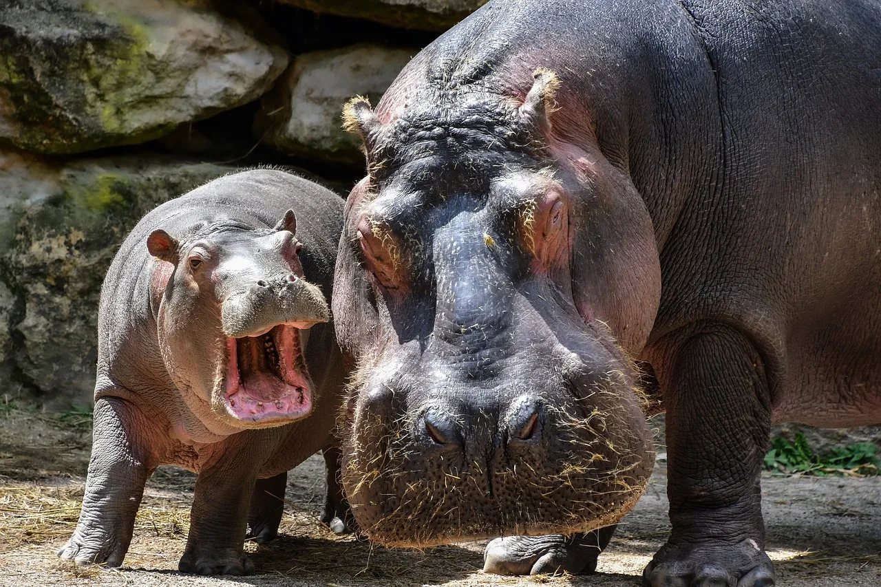 Día Mundial de los Animales: Celebrando y protegiendo a las especies