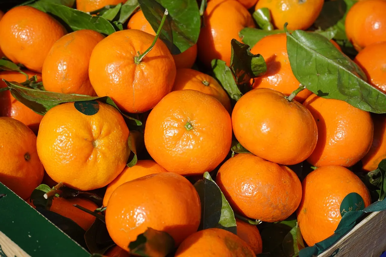 La mandarina: fruta de temporada y sus beneficios