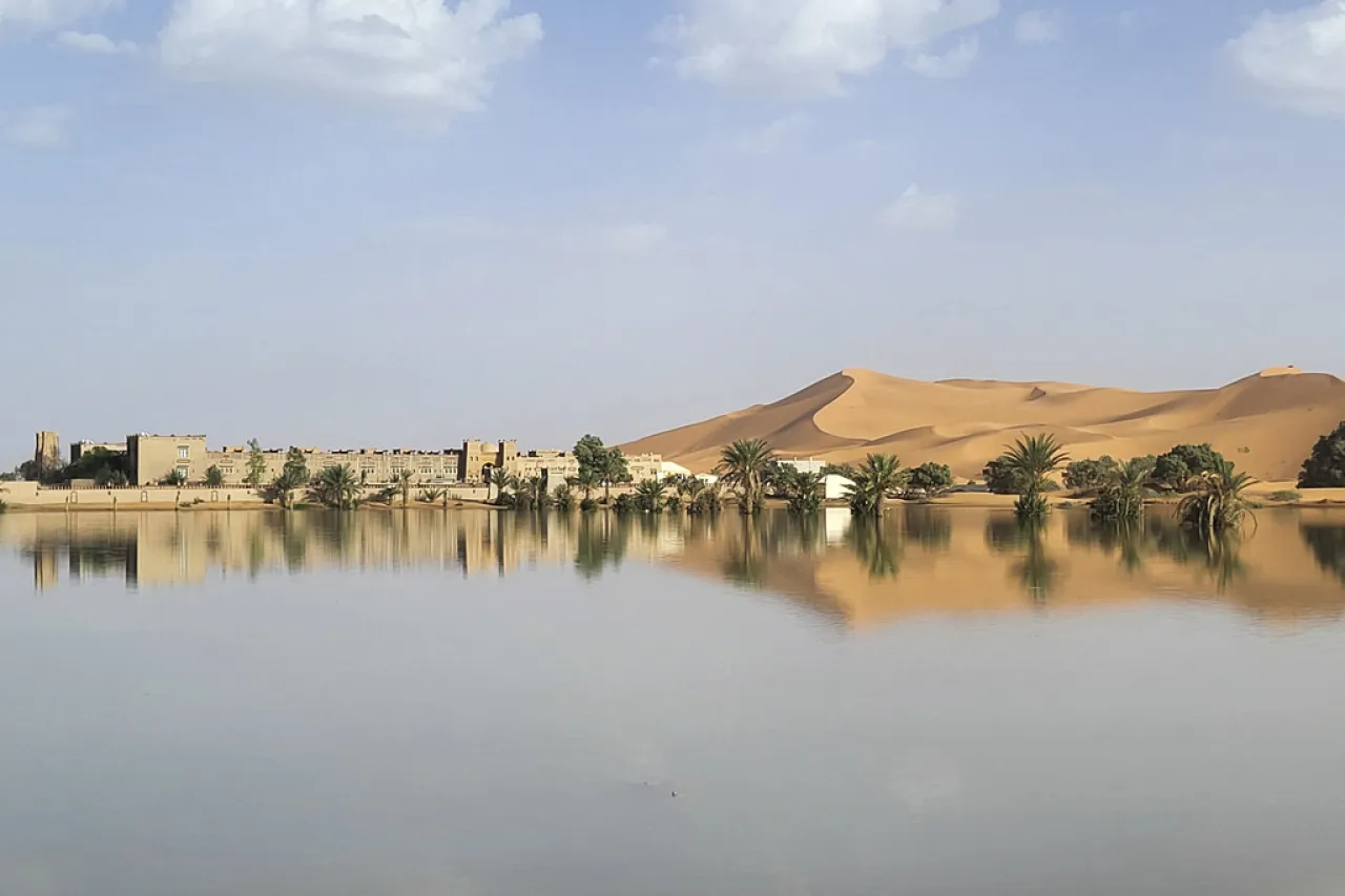 Fluye agua entre palmeras y dunas tras inusuales lluvias en el Sahara