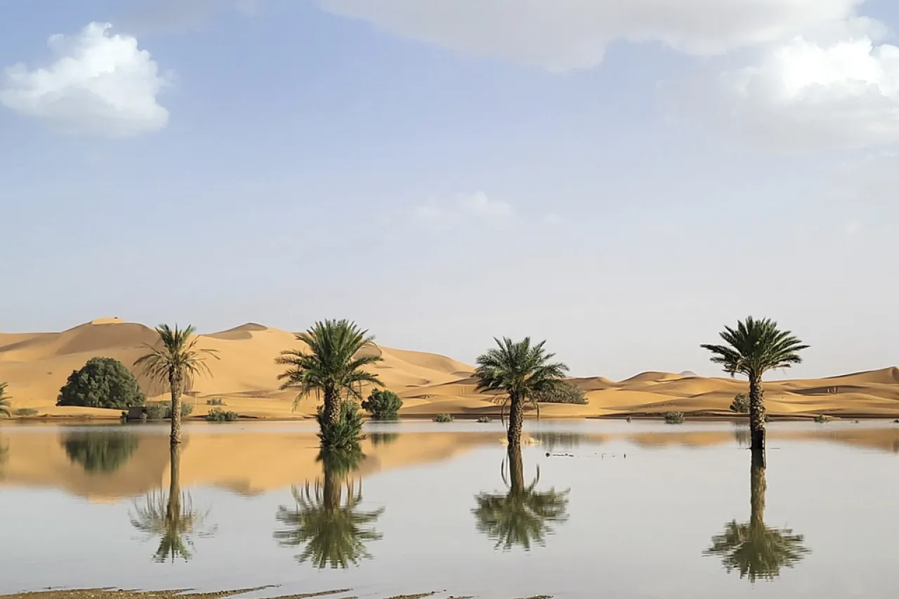 Fluye agua entre palmeras y dunas tras inusuales lluvias en el Sahara