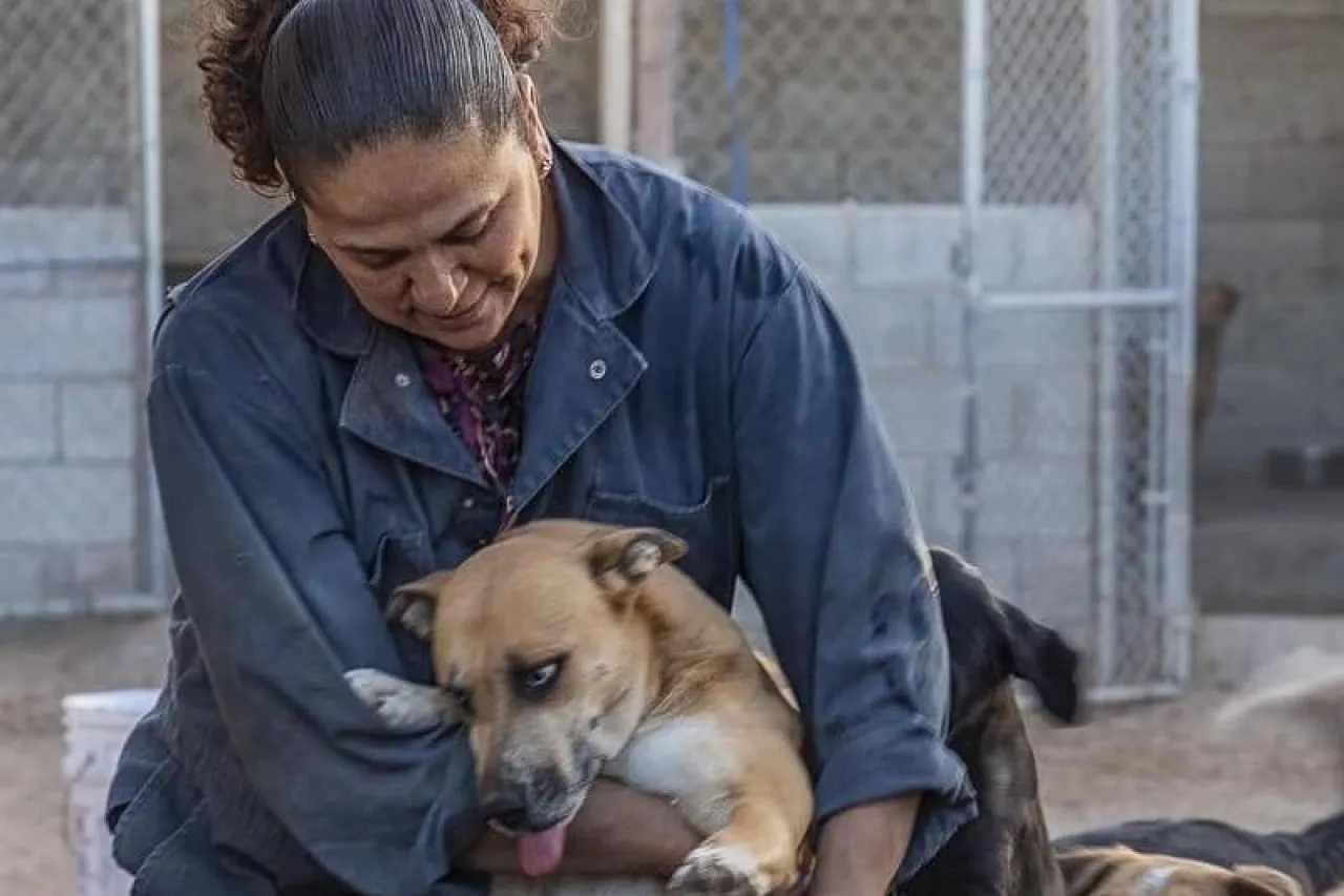 Existen en Juárez alrededor de 25 refugios de protección animal