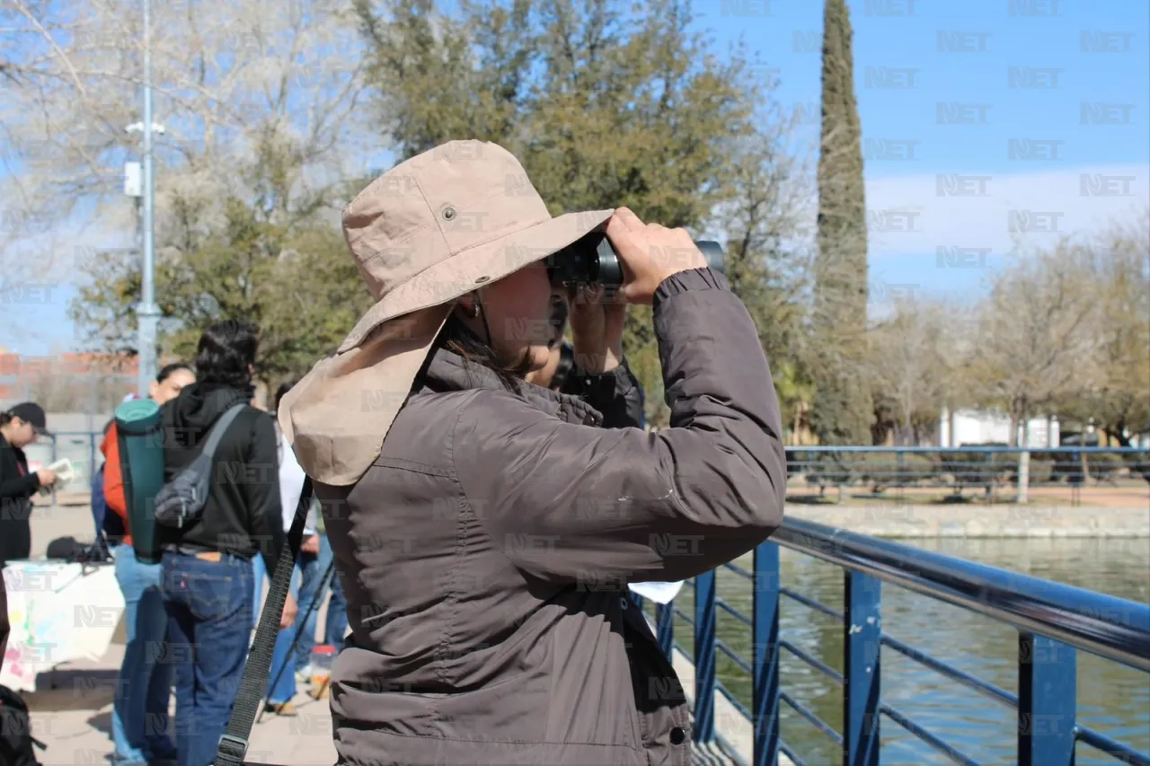 Llega a Juárez el Festival de las Aves de Chihuahua