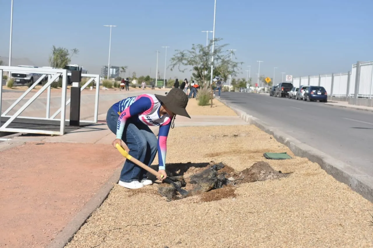 Reforestan el parque lineal Can-Am en la Tomás Fernández