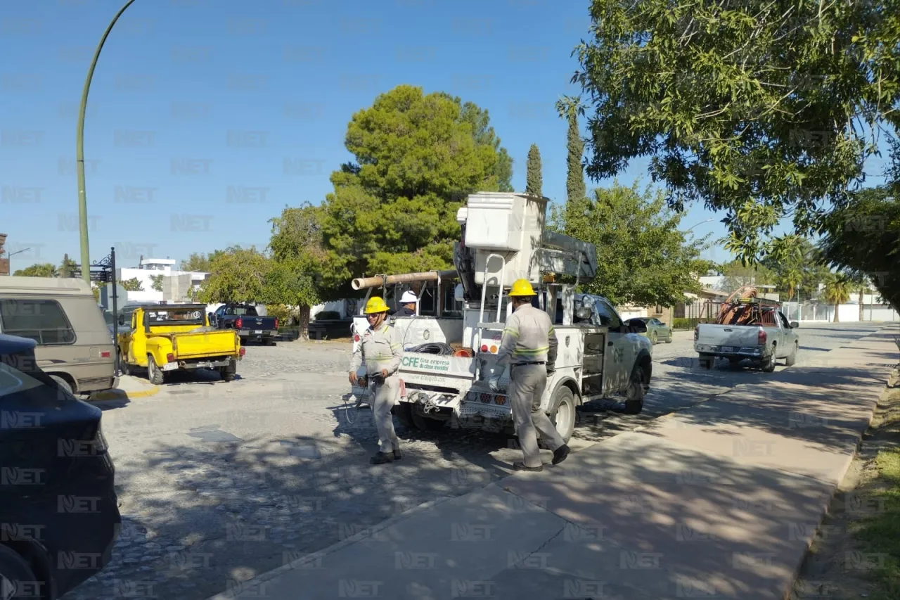 Les cae la cazadora: Esto dejó el operativo de la CFE en Rincones de San Marcos