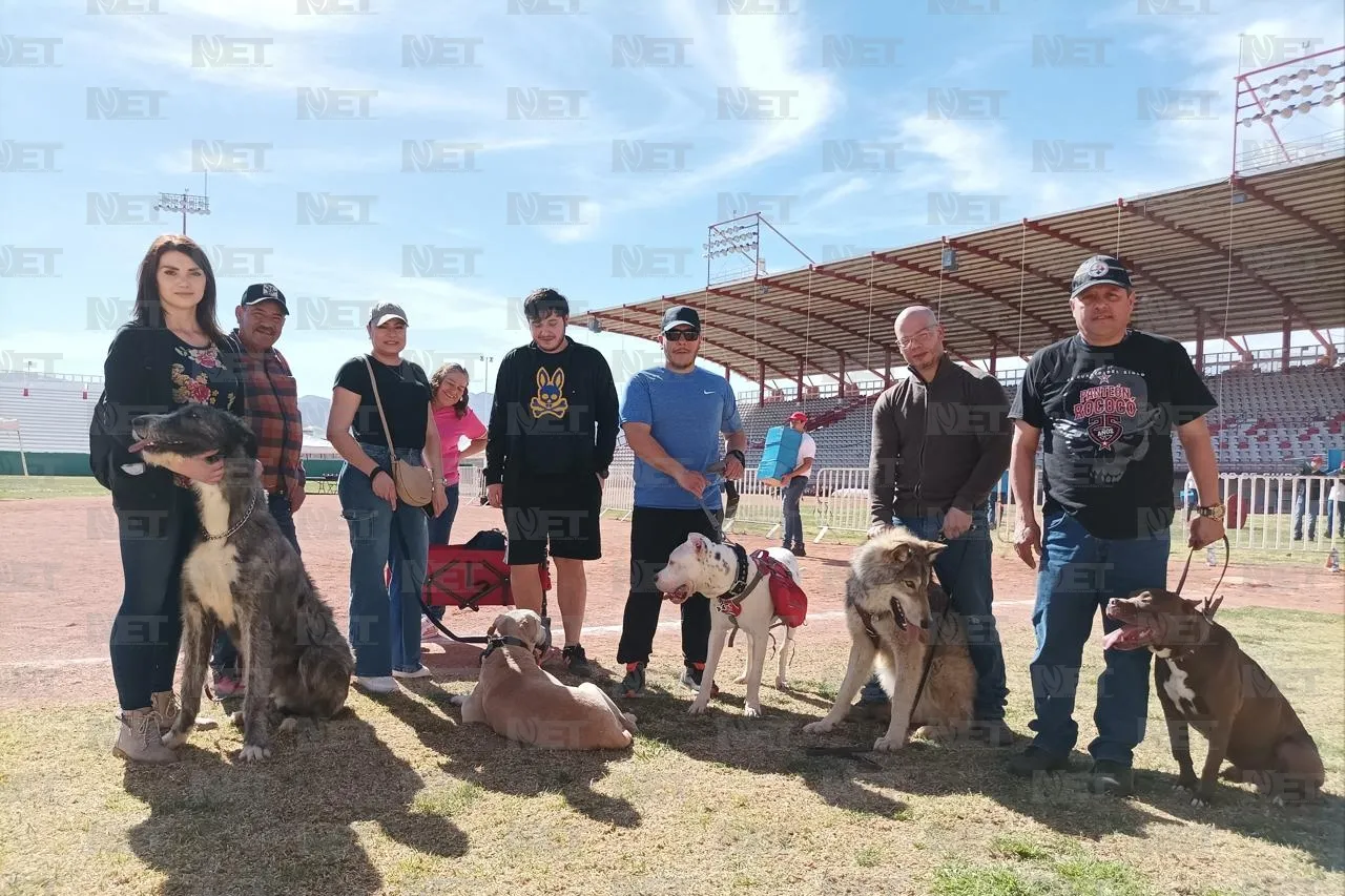 ¿Tienes un perro obediente? Inscríbelo al próximo Perrotón de la Sedena