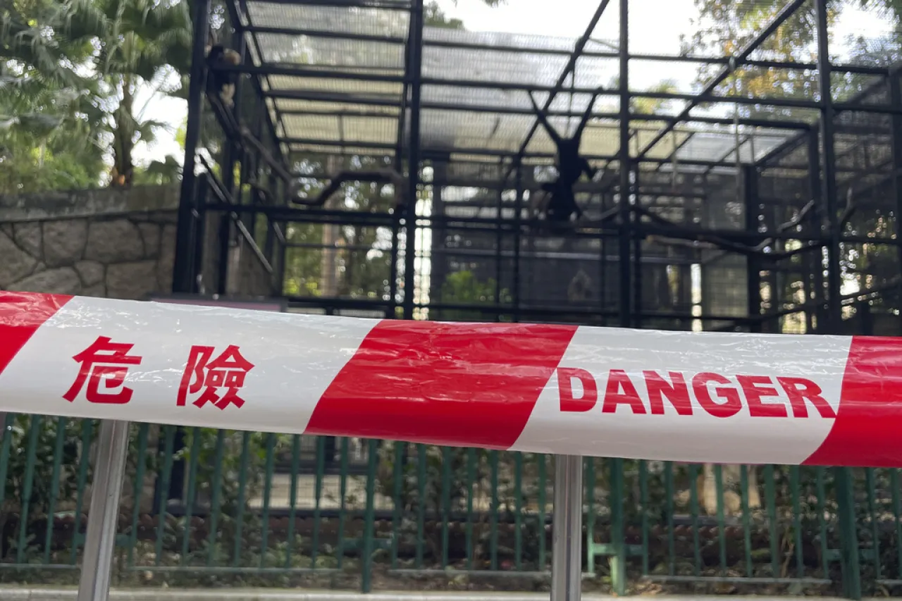 Investigan muerte de monos en zoológico de Hong Kong