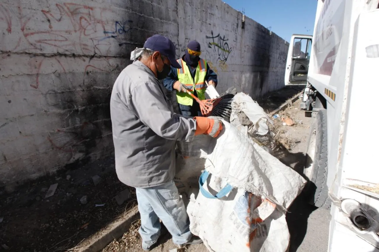 Recoge departamento de Limpia hasta 90 animales sin vida de las calles