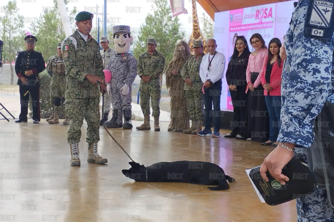 Invitan a aprovechar exhibición 'La Gran Fuerza México' en la X