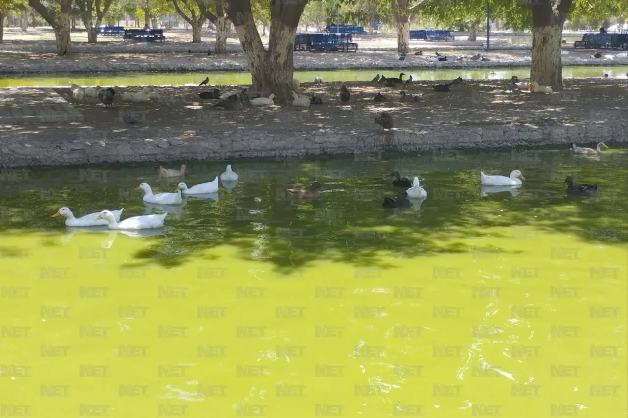 Por concluir obras en cascada de lago del Parque Central