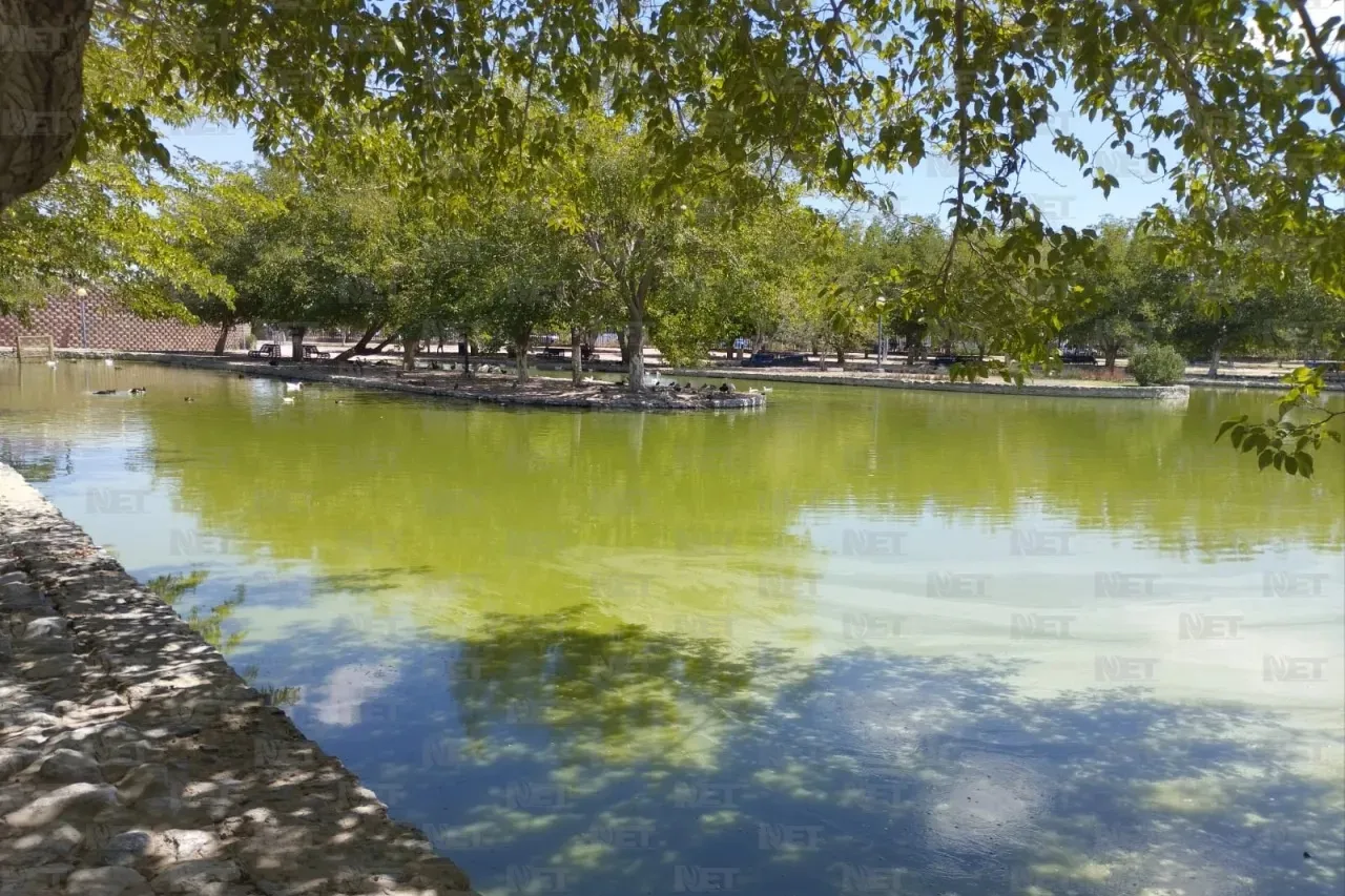 Por concluir obras en cascada de lago del Parque Central