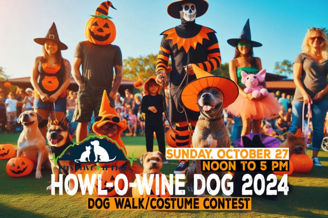 Realizarán hoy el paseo para perros Howl-O-Wine