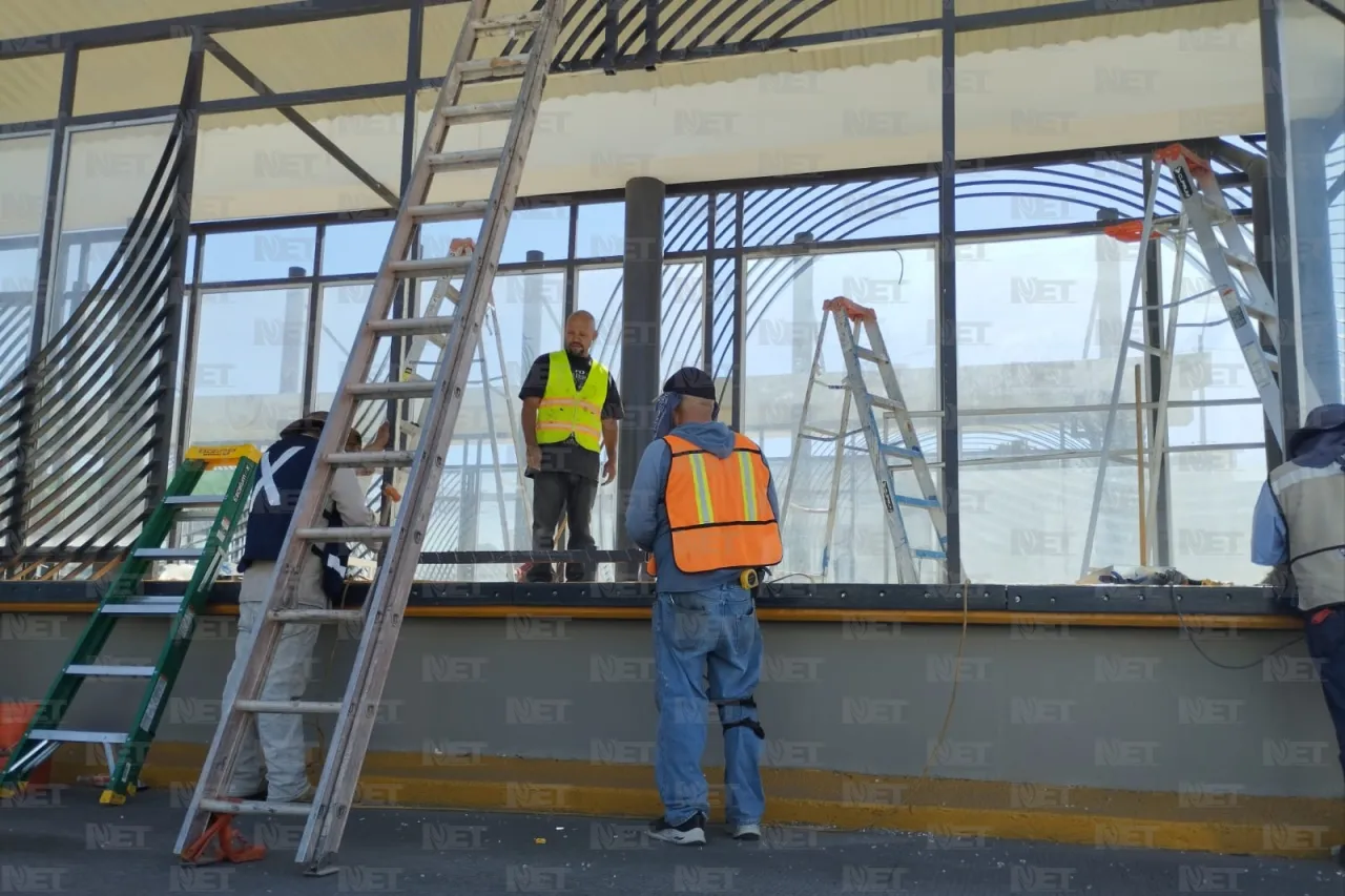 Reactivación de primera línea troncal no afectará al Juárez Bus