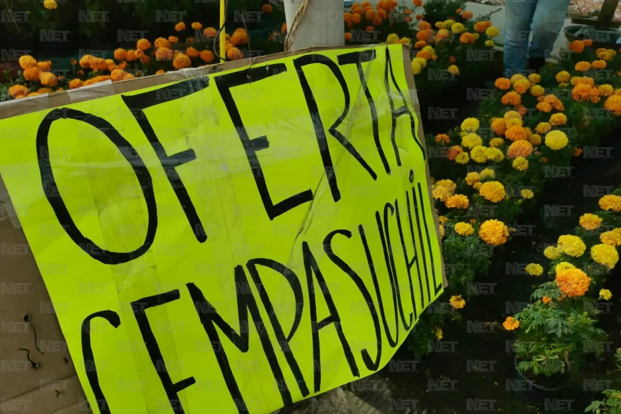 Rematan flor de cempasúchil en la Carlos Amaya