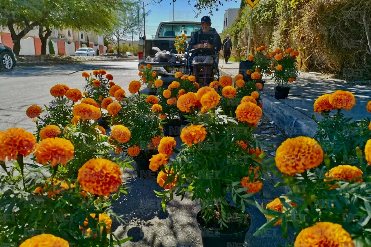 Ayudemos a que don Óscar venda todas sus flores