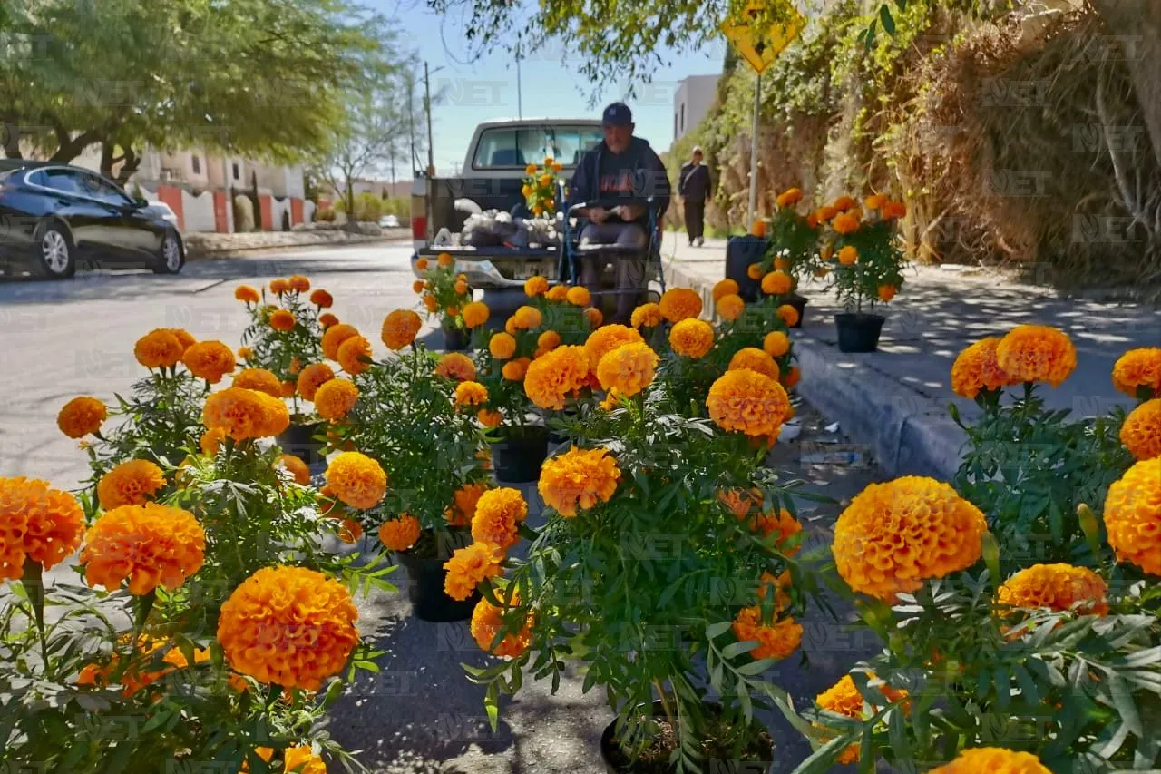 Ayudemos a que don Óscar venda todas sus flores