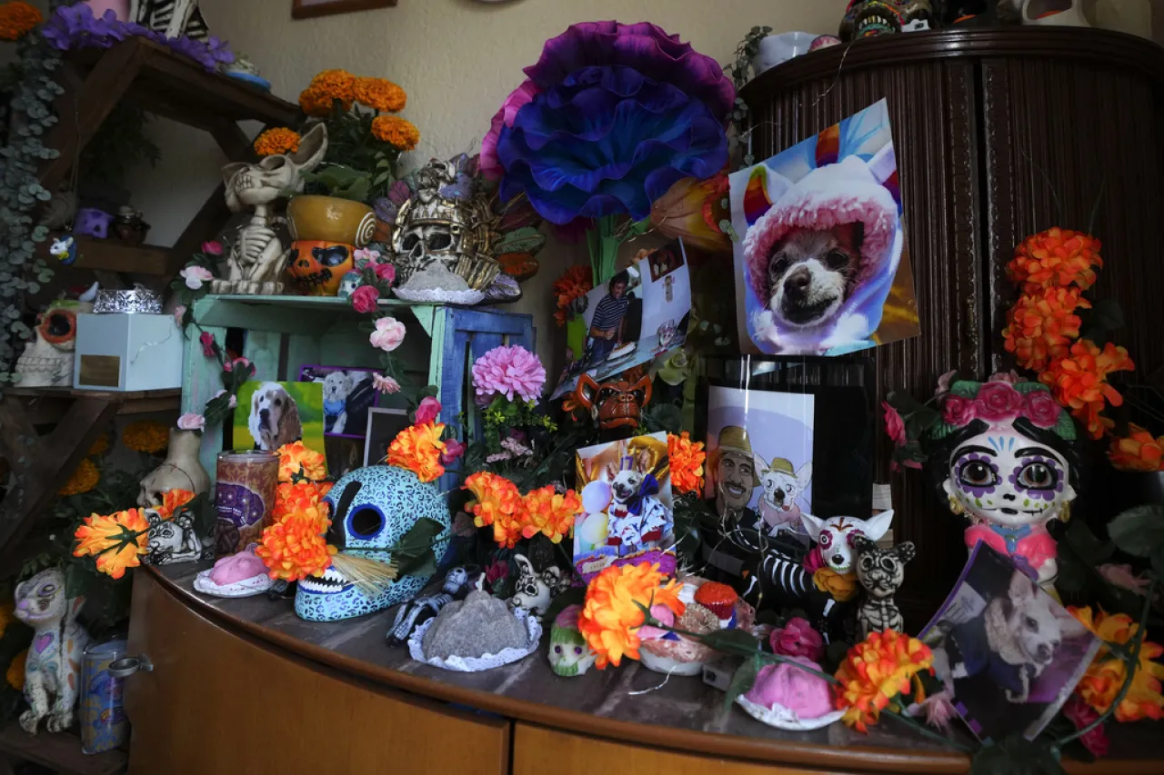 Nadie se olvide de ellos;  altares del Día de Muertos honra a las mascotas