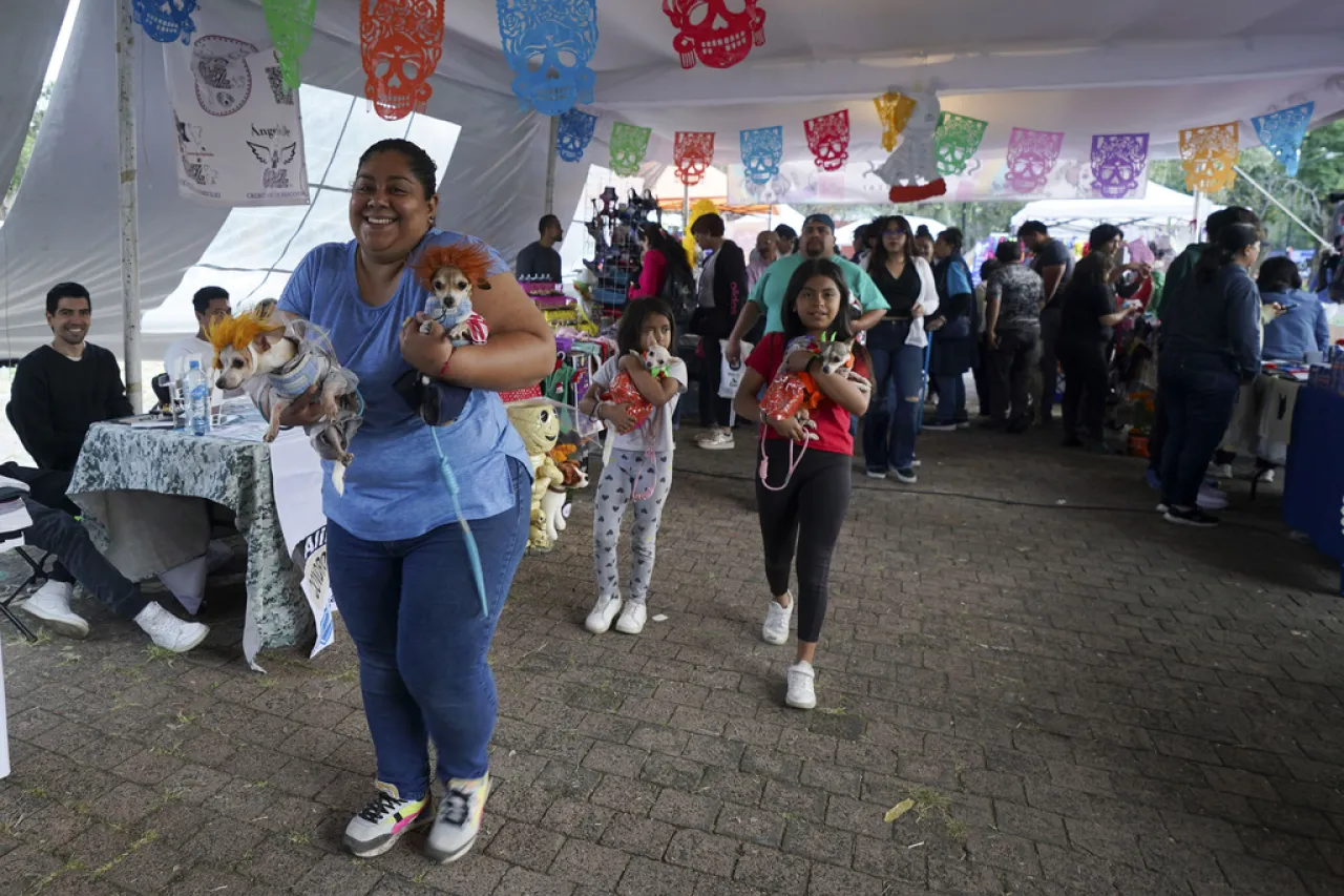 Altares del Día de Muertos en México también honran a animales