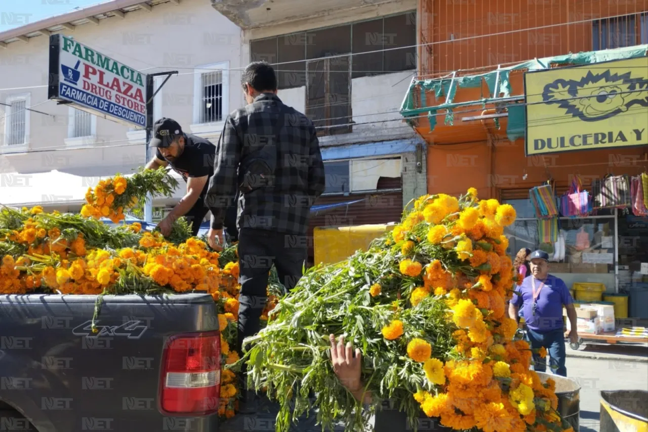 Altar de muertos, una ofrenda que no escapa de la carestía 