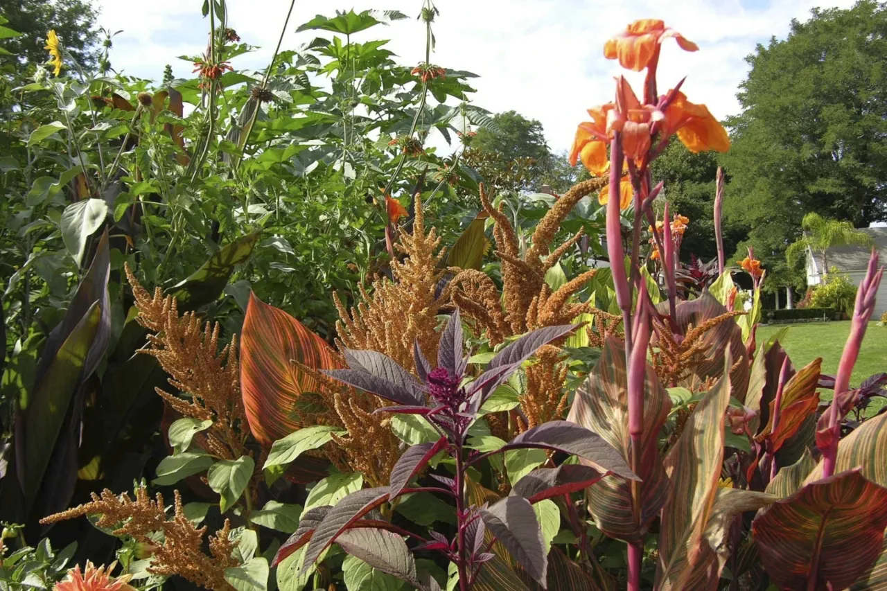 Cómo ayudar a tus plantas tropicales a sobrevivir la tristeza del invierno