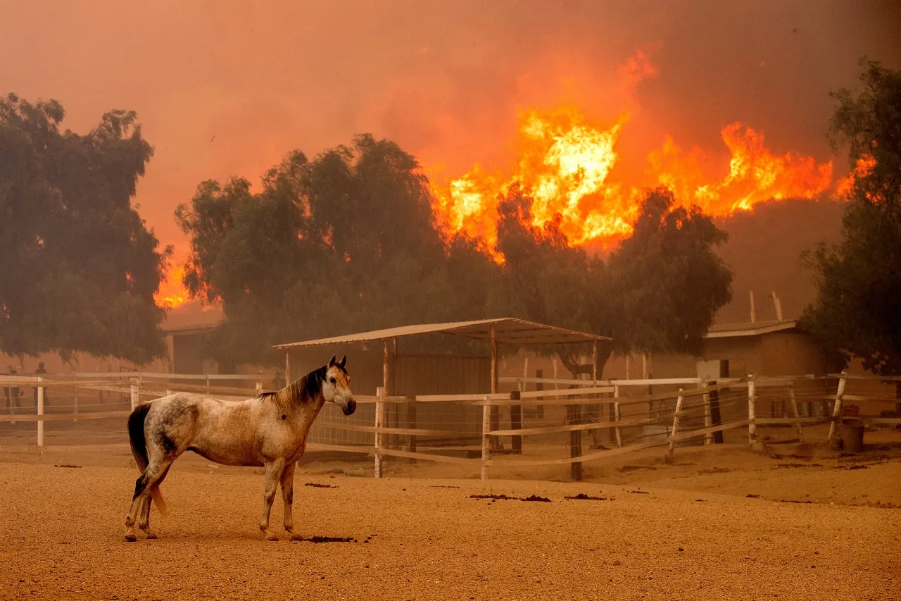 California: Bomberos avanzan contra incendio mientras fuertes vientos disminuyen