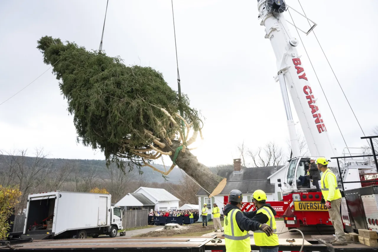 El árbol de Navidad del Rockefeller Center llega a Nueva York