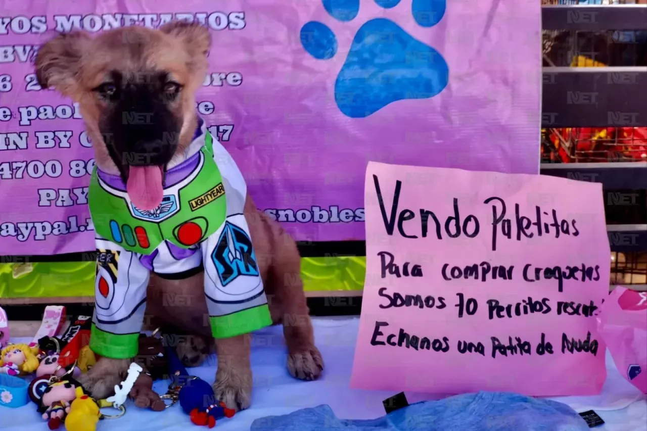 Corazones Nobles recauda fondos para sus perritos