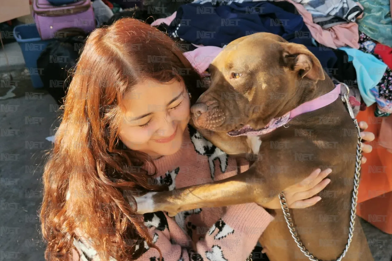 Corazones Nobles recauda fondos para sus perritos