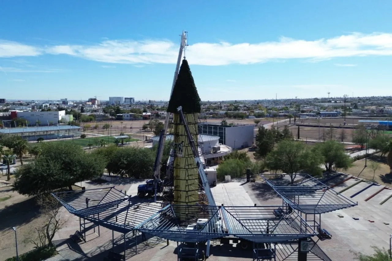 ¿Cuándo será el encendido del árbol de Navidad en el Parque Central? Te decimos