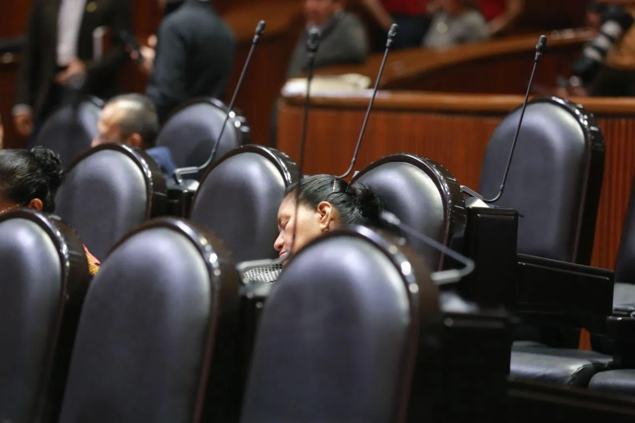 Diputada de Morena se queda dormida en plena sesión