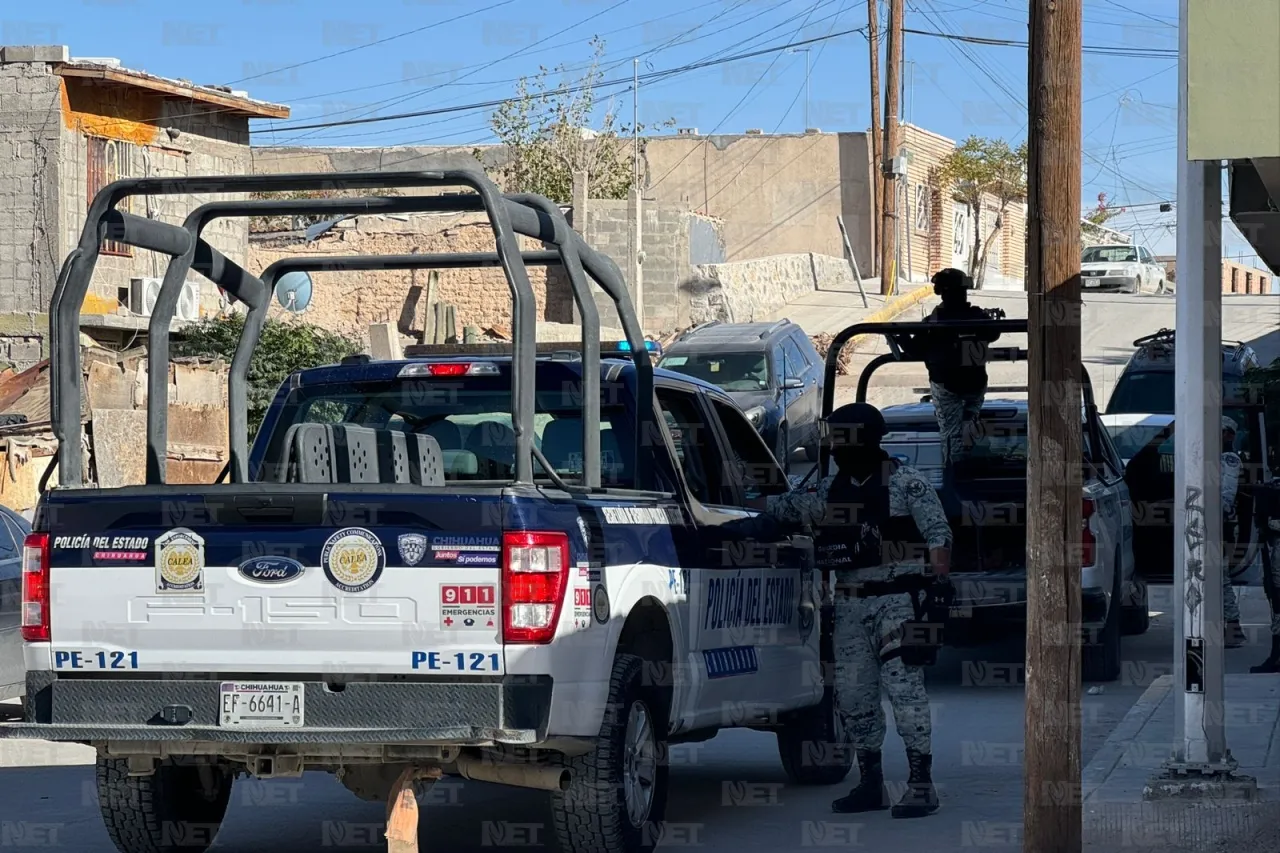 Encuentra restos óseos al excavar en el patio de su casa; eran de animal