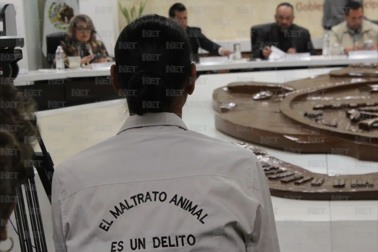 Piden regidores en Juárez clasificar el abuso sexual de animales como delito