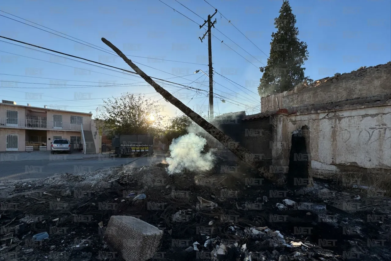 Palmera en llamas deja riesgo en cableado telefónico