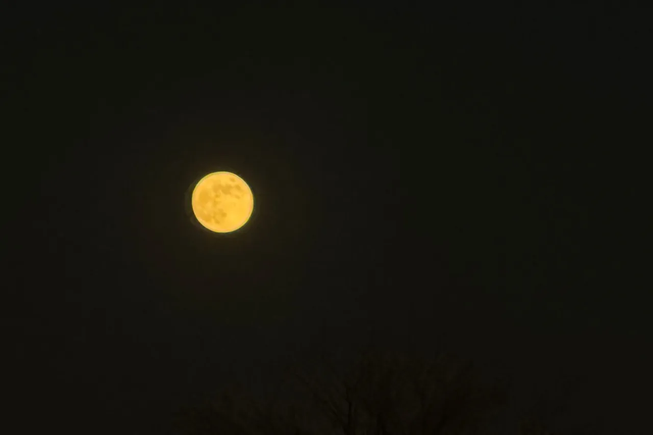 No te pierdas la Luna Llena de Castor