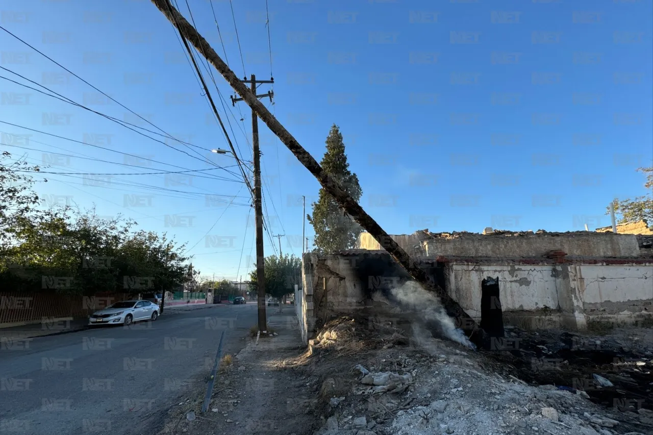 Palmera en llamas deja riesgo en cableado telefónico